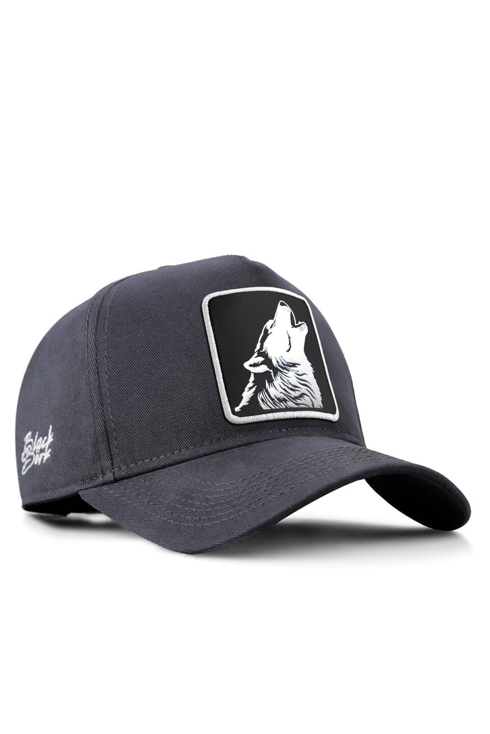 Blackbörk Kurt Logolu Antrasit Beyzbol Şapka